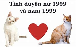 Nữ 1999 Năm 2000 Có Cưới Được Không