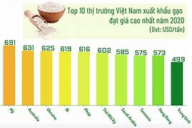 Top Các Nước Xuất Khẩu Gạo 2020 Mạnh Nhất Việt Nam Hiện Nay